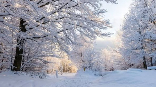 599530028 1454186743376912 8019708312539747697 n.jpg?stp=dst jpg s590x590 tt6& nc cat=102&ccb=1 7& n.jpg