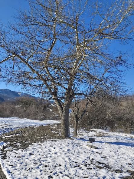 601969699 1284366527067802 8490146660431515168 n.jpg?stp=cp6 dst jpg s590x590 tt6& nc cat=100&ccb=1 .jpg