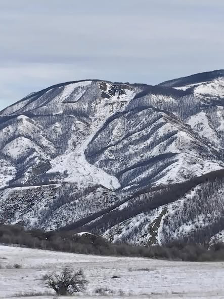 604748159 1284366553734466 7781681840461165244 n.jpg?stp=cp6 dst jpg s590x590 tt6& nc cat=103&ccb=1 .jpg