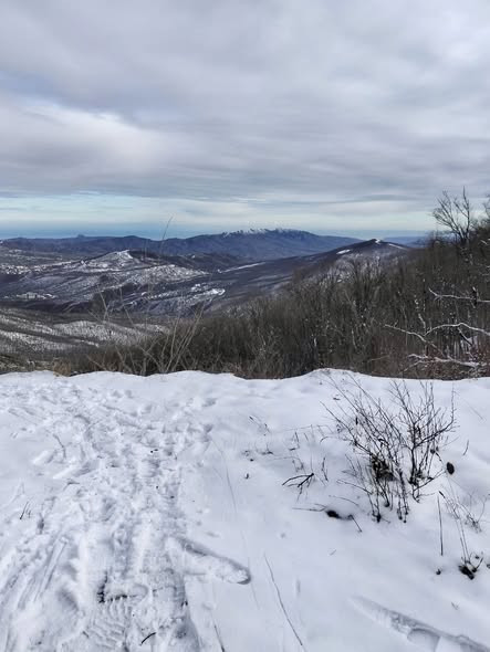 601899754 1284366590401129 2583016975189866251 n.jpg?stp=cp6 dst jpg s590x590 tt6& nc cat=105&ccb=1 .jpg