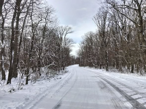 605544609 1284366547067800 8796552297750005409 n.jpg?stp=dst jpg s590x590 tt6& nc cat=108&ccb=1 7& n.jpg