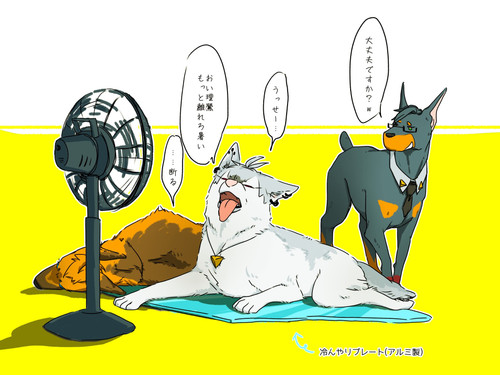 IMG 20201202 082118.jpg