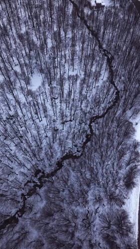 JAYSM kMpfYClNz8.jpg