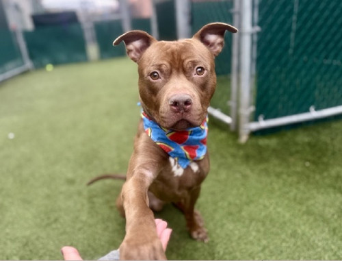 G7NeK7rbgAAlp 0?format=jpg.jpg