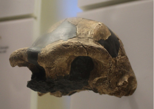 G8zxwN XcAA N69?format=jpg.jpg