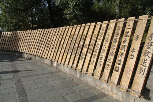 606013890 1305286658295607 4019781295196056963 n.jpg?stp=dst jpg s590x590 tt6& nc cat=104&ccb=1 7& n.jpg