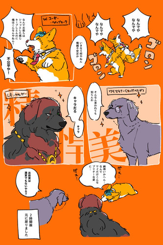 IMG 20210219 112440.jpg