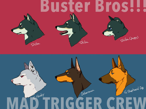 IMG 20210219 112436.jpg