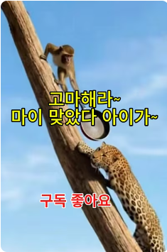 원숭이와표법251213.png