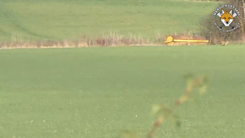 Wh65nceL8F2O W8c.jpg