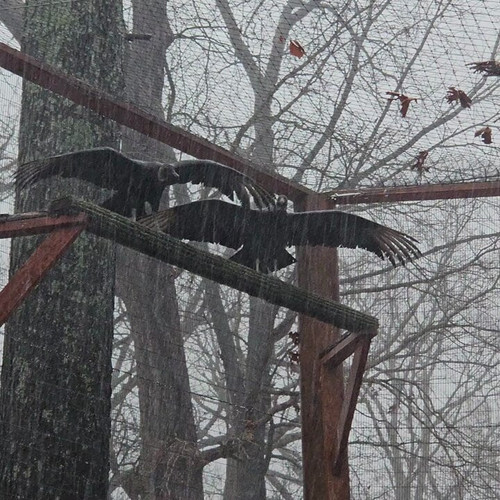 uiG8N4t6 gGaZ6Ns.jpg