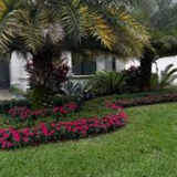 Plants Boynton Beach'.png