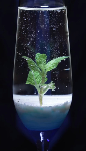 Screenshot 20251223 164135.jpg