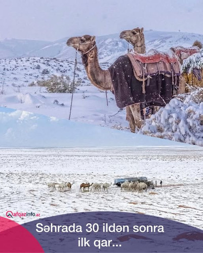 602373315 1300011625496783 8578045429611361097 n.jpg?stp=dst jpg s640x640 tt6& nc cat=1&ccb=1 7& nc .jpg