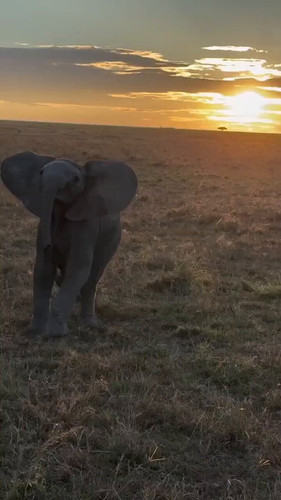 Xp GqTGw8eQVWvFR.jpg