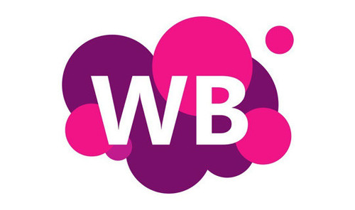 Wildberries Logo.jpg