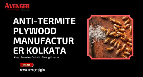 Anti-Termite Plywood Manufacturer Kolkata.jpg