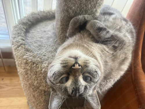 600347798 10242093852905840 8042228620758985282 n.jpg