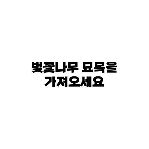 KakaoTalk 20251222 183452170 01.jpg