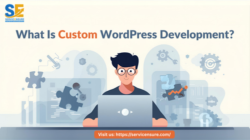 What Is Custom Wordpress Development.png