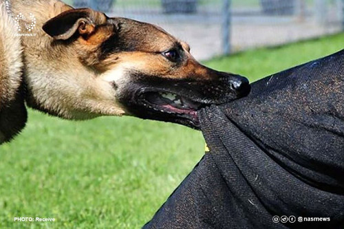 ni4dWC8Cs1W4dXp3Cb6C IoVuqjVYJo5ip3U5JWWMxEmqUyt66uu3xlEpQ MLrfHR7 jvdBPuagSBDdsSAj22bgJMCxQkkMvJclt.jpg