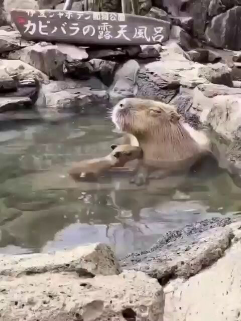 28edxneM QnNDxN6.jpg