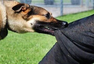 FYIHhrihrjcbzo9xY1fnCvVX VYB7vITGyxJD0Ie4ONUdPYG5ai Qm8d NjzGJ5qbfgkAztPk9Z CkqrIgfsk5kYx8YbO dlD3V7.jpg