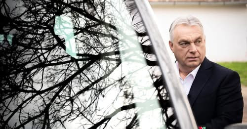 17294967808097868689?url=https%3A%2F%2Fvadhajtasok.b cdn.net%2Fphotos%2Fshares%2Forban 1766387992.jp.jpg