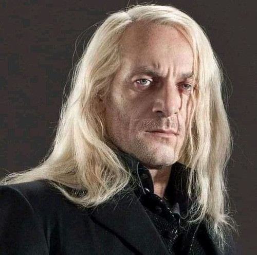 WhatsApp Image 2025 12 22 at 3.19.46 PM