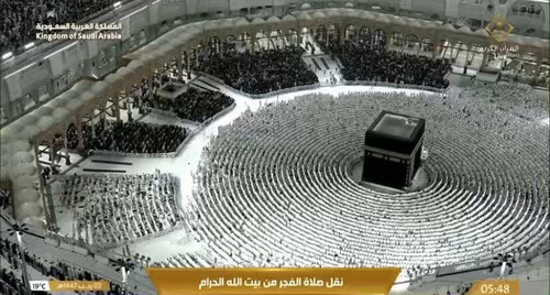 SzTEe 7K5buQd2y .jpg