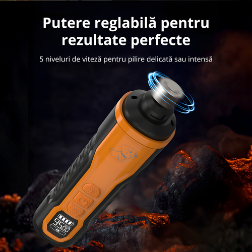 poza9.png