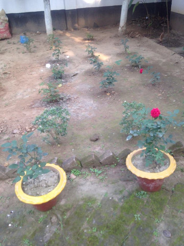 48914059 360921991373731 7732164292241260544 n.jpg