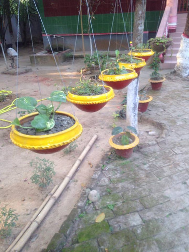 48406778 2090777891212892 699103148303712256 n.jpg