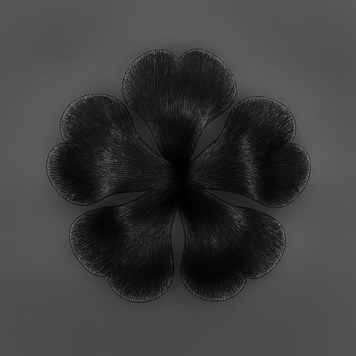 ff7a875e 1705 4764 8150 c28d60773d75 md.jpg