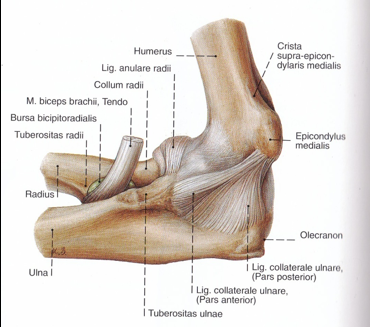 980594b105bb.png