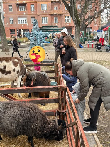 603837350 1151410443641437 7971114840517951406 n.jpg?stp=dst jpg p526x296 tt6& nc cat=101& nc cb=99b.jpg