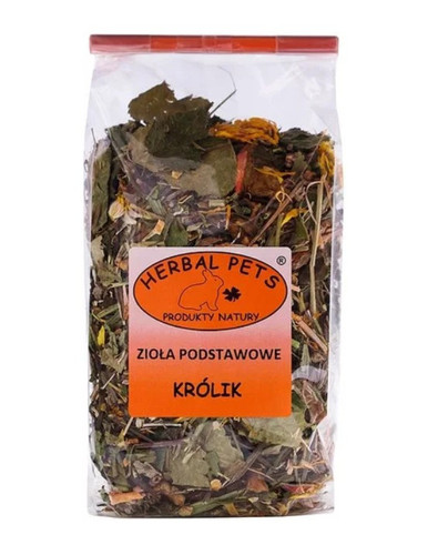 krolik podstawowe.jpg