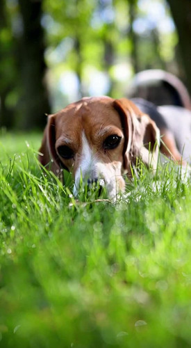 27a7b5cd d7d1 6fef ddf6 9dd10e6efad5 last.jpg