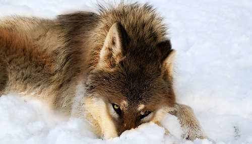 image 2021 02 14 174006.png