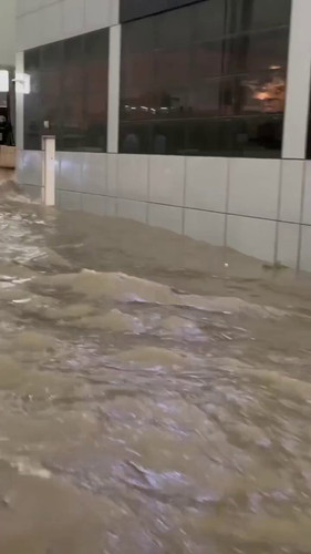 C8PD2 GepIIrR87 .jpg