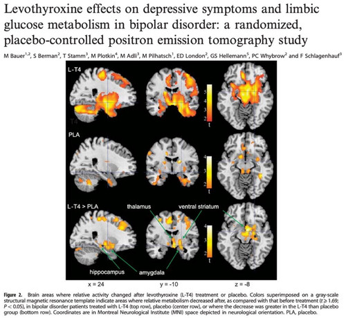 G6NqO 1XEAE6v6y?format=jpg.jpg