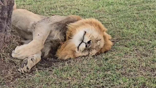 k2fwVHT6 bEZ7wEe.jpg