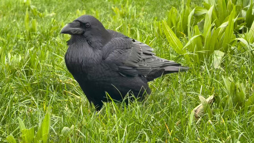 o7on LHZLzg5G8OV.jpg