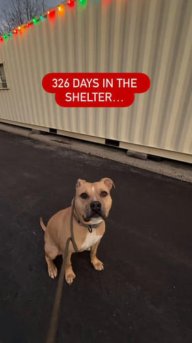 2XdTPCnRMXc4 JmM.jpg