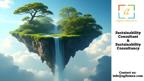 Sustainability Consultant & Sustainability Consultancy 10.jpg