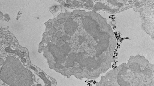 pE7GnQfF T04XQnV.jpg