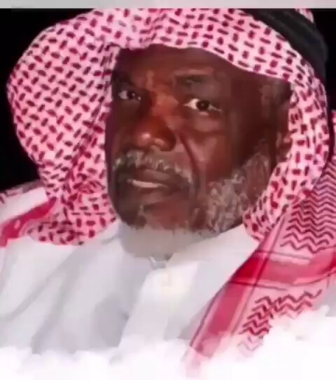 VIDv8uNLttCX hDE.jpg