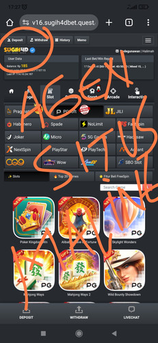 IMG 20251222 172720.jpg