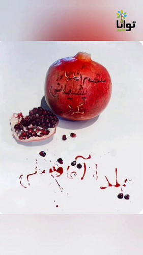 VQ4CaZ4pTS3ADaa .jpg