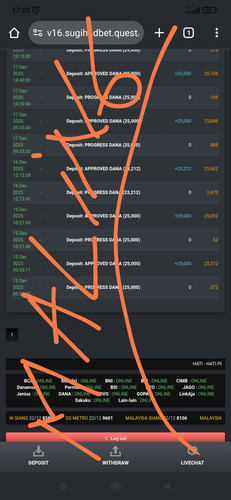 IMG 20251222 172831.jpg